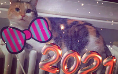 Hello world, welcome to my blog!