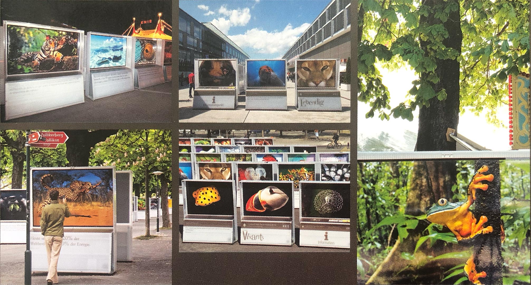 5 photos of exhibition "Alive" by Rémy Gindroz